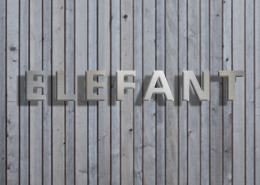 Dies ist ein Bild mit Edelstahl Buchstaben an einer Hausfassade Die Edelstahlbuchstaben zeigen das Wort Elefant.