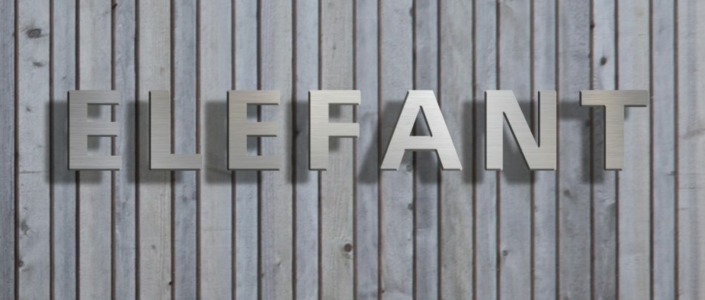 Dies ist ein Beispiel-Bild mit einem Namenschild für ein Haus | ELEFANT | Edelstahlbuchstaben | 1,80 Meter lang